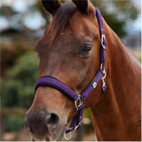 Neo Comfort Halster
